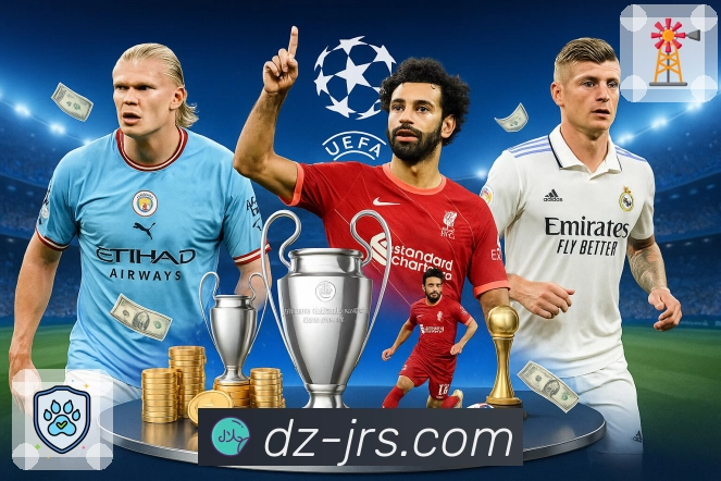 功能逻辑结构图